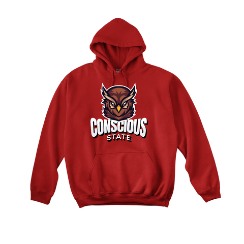 CONSCIOUS STATE / HOODIE